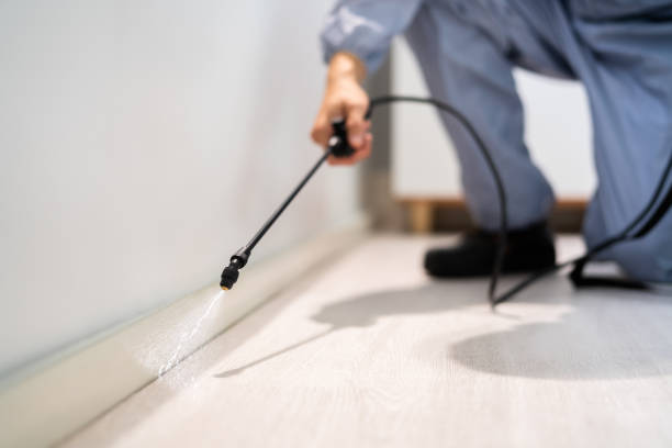 Licensed Pest Control service in Twin Lakes, NM - Show Me Pest Control